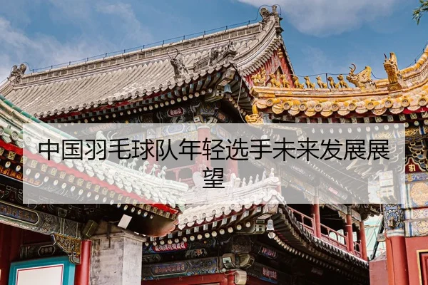 中国羽毛球队年轻选手未来发展展望